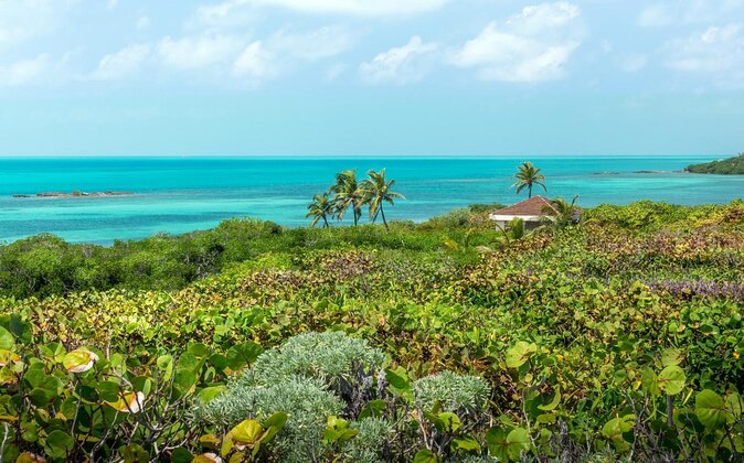 Isla Contoy Eco Adventure - Snorkeling at Ixlache Reef, with rules you need to follow