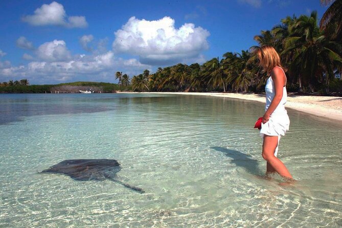 Isla Contoy Hidden Beauty! Transportation from Riviera Maya - Snorkeling at Ixlache Reef: Timing, Conditions, and Who Should Skip It