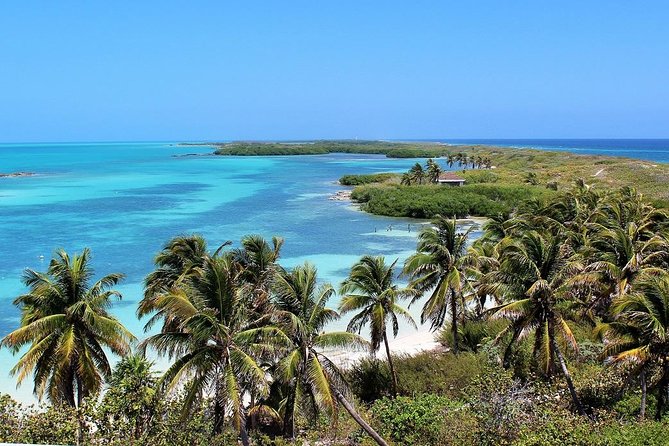 Isla Contoy & Isla Mujeres Tour from Cancun & Playa Del Carmen - Pickup, Meeting Points, and Getting to the Cancun Marina