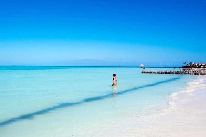 Isla Contoy & Isla Mujeres Tour from Cancun & Playa Del Carmen - Isla Contoy: Protected Reef Snorkel and a Real Guided Island Visit