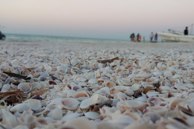 Isla Holbox All Inclusive with Transportation (Breakfast and Food Included) - Getting Around Holbox: Golf Cart Touring Time (And Not Included Cost)