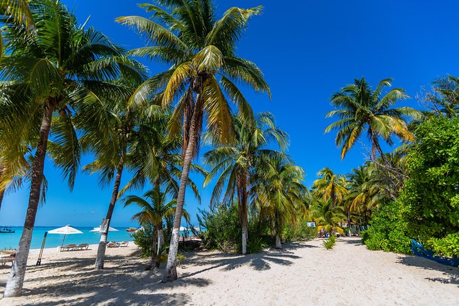 Isla Mujeres Catamaran, Open Bar & Optional Buffet and pick up - The return sail to Cancun, plus the easiest way to avoid problems