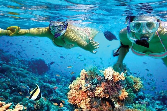 Isla Mujeres Catamaran, Open Bar & Optional Buffet and pick up - Who this catamaran day trip fits best