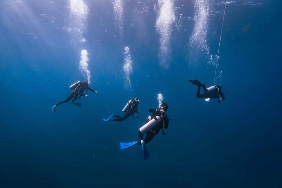 Isla Mujeres: Catamaran Ride with Open Bar, Snorkeling, and Lunch - Snorkeling reef stop: included gear, short timing, real beauty