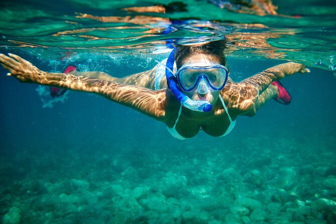 Isla Mujeres Catamaran Sailing Experience with Lunch & Open Bar - Marina Albatros check-in to boarding: where the day starts (and how to avoid stress)