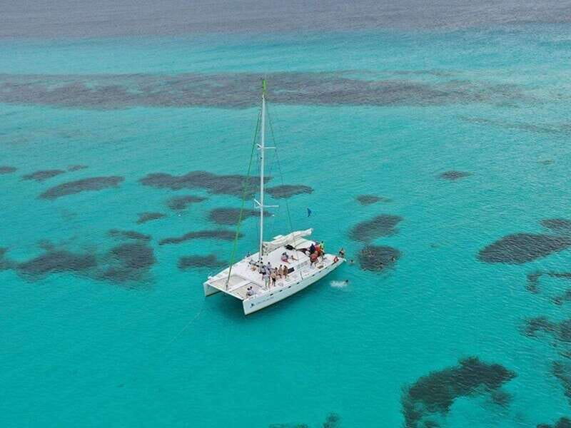 Isla Mujeres Catamaran Tour: Snorkel & Beach Adventure - El Meco reef snorkeling: fish, flow, and what the guide matters most