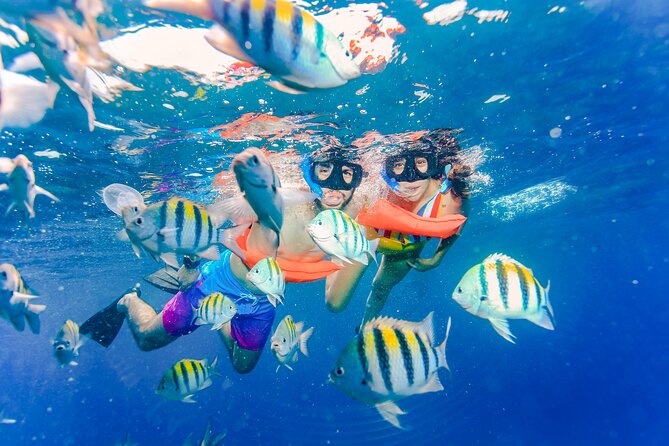 Isla Mujeres Catamaran Tour with Open Bar, Lunch and Snorkeling - The beach club lunch buffet: what you get at midday