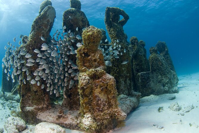 Isla Mujeres Catamaran Tour with Snorkeling at MUSA, Buffet Lunch & Open Bar - The Open Bar at Sea: Fun Factor, Not Just Perks