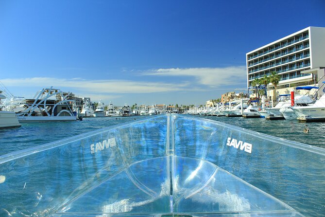 Isla Mujeres: Coral Reef Views from a Clear Boat - Why a clear-boat reef ride makes sense on Isla Mujeres