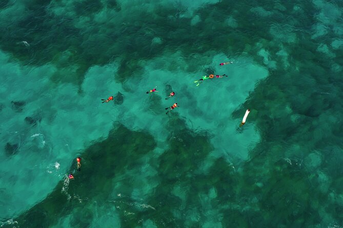 Isla Mujeres Island and Snorkeling Tour - Isla Mujeres beach club stop: lunch, pool time, and the party feeling