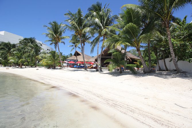Isla Mujeres luxury catamaran with premium open bar and lunch - The included VIP lunch at Zama or IXI: what you actually get
