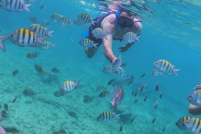 Isla Mujeres Luxury Sailing: Adults Only or Family Friendly - Lunch onboard: what you get for the word gourmet