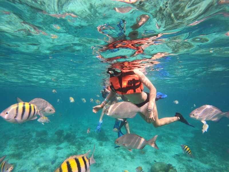 Isla Mujeres: Snorkeling Adventure at the Underwater Museum - Price and Value: Why $57 Can Feel Like a Bargain