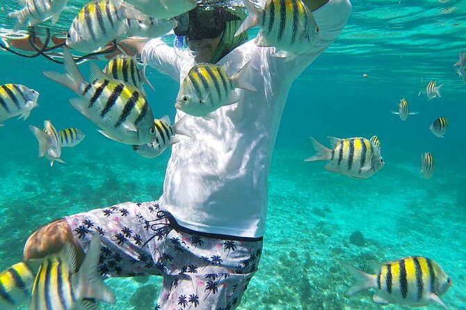 Isla Mujeres Snorkeling Adventure at the Underwater Museum - Lunch and the Playa Tiburon break: what you get, and what to skip