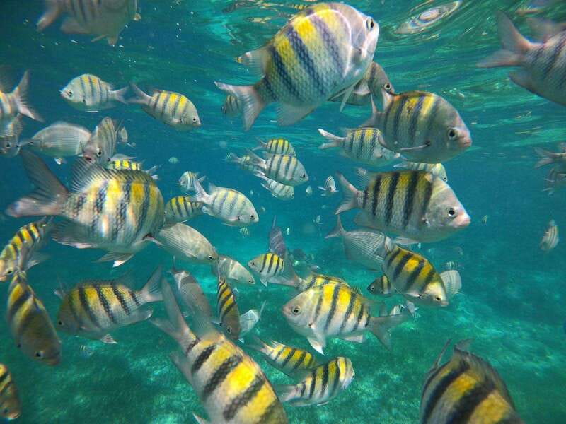 Isla Mujeres: Snorkeling Adventure at the Underwater Museum - The Boat Ride Factor: Why It Matters for Comfort and Views