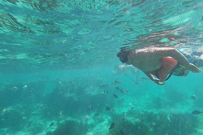 Isla Mujeres Snorkeling Adventure at the Underwater Museum - Boat-only snorkeling: two reef stops, guided and close to the action