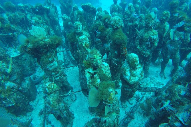 Isla Mujeres Snorkeling Tour Adventure - Stop 3 at Manchones Reef: Bigger Coral Structure and More Chances for Wildlife