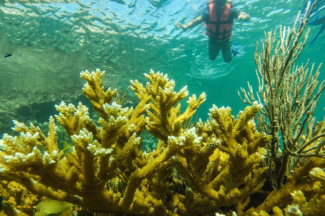 Isla Mujeres Snorkeling Tour Adventure - Gear, Instruction, and Beginner Reality Check