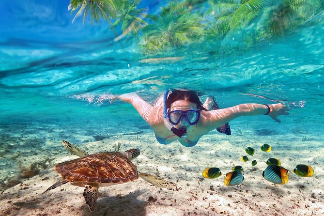 Isla Mujeres tour in a Catamaran with snorkel, open bar, lunch - The Catamaran Cruise Out: Sailing Energy Before You Hit the Water