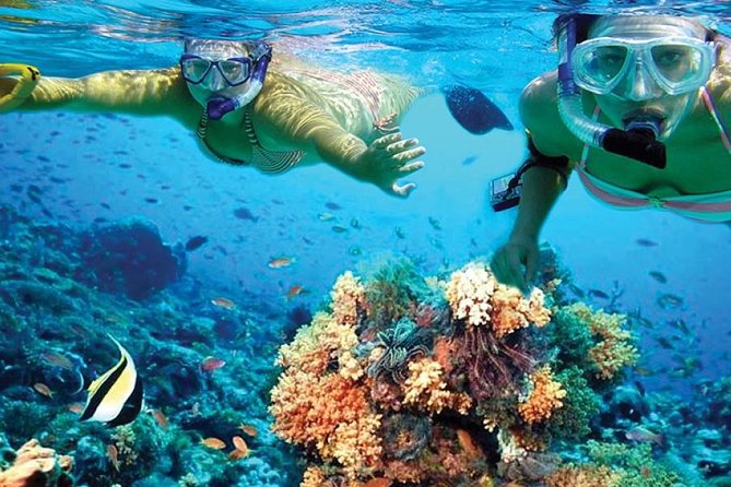 Isla Mujeres tour in a Catamaran with snorkel, open bar, lunch - Isla Mujeres Beach Club Lunch and Open Bar: Where the Day Shifts Gears