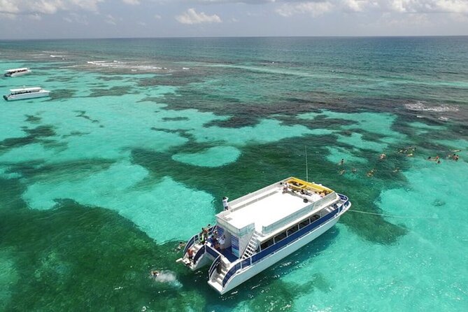 Isla Mujeres Unlimited Catamaran! Drinks, Fun & Party From Playa Del Carmen - Snorkeling at Punta Sam Reef or El Meco: What You Should Expect