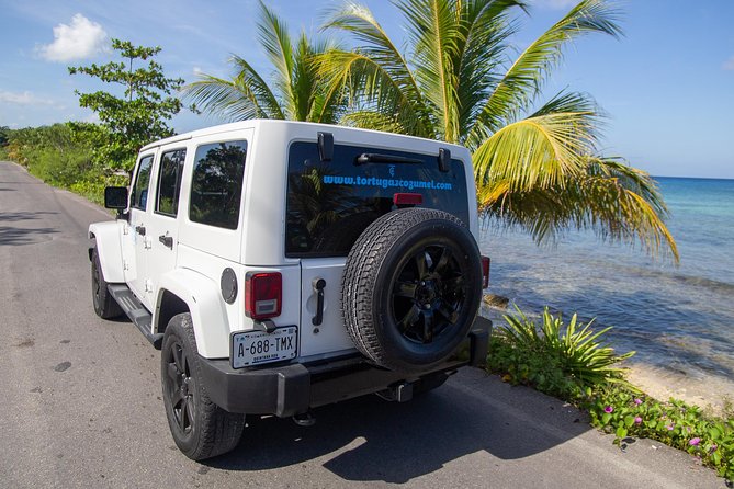 Jeep Exploration & All Inclusive Tortugas Beach Break (Private) - Tortugas Snorkel Center and Beach Bar: the main event