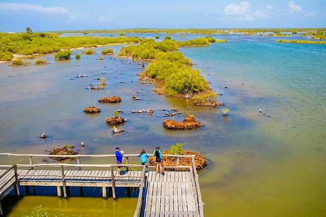 Jeep Safari All Inclusive Private Tour - Sabores de Cozumel: chocolate, tortillas, and tequila tastings