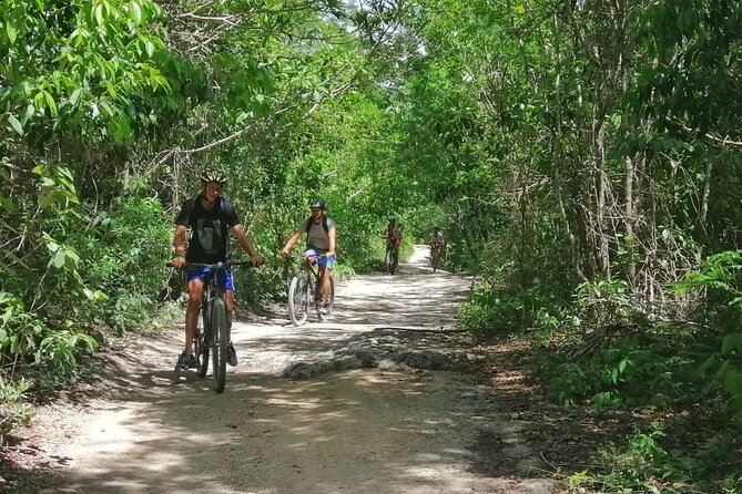 Jungle Bike Tour from Playa del Carmen with Bath in a Cenote - Jungle Bike to a Cenote: Why This Tour Feels Different
