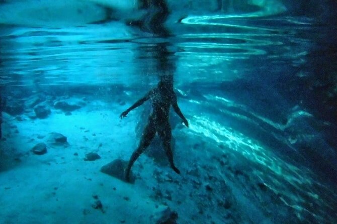 Jungle Bike Tour from Playa del Carmen with Bath in a Cenote - Price and Value: Why $83.64 Can Make Sense