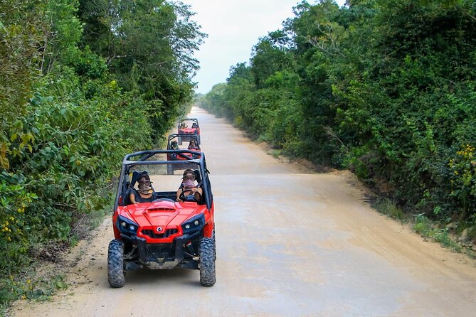 Jungle Buggy Tour from Playa del Carmen Including Cenote Swim - Cenote cave swim and snorkeling break, plus the jump-dock moments