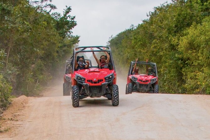 Jungle Buggy Tour from Playa del Carmen Including Cenote Swim - Price and what you truly get for $110.29