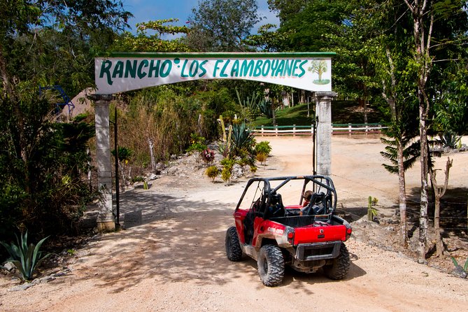 Jungle Buggy Tour from Playa del Carmen Including Cenote Swim - Safety rules, dust control, and the gear you should pack