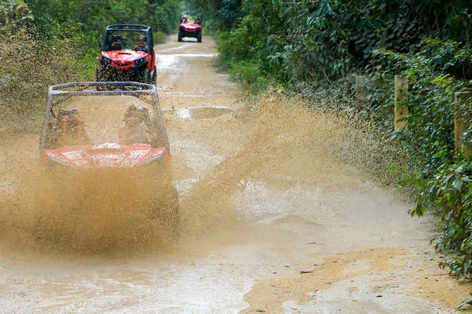 Jungle Buggy Tour from Playa del Carmen Including Cenote Swim - Guides like Fernando, Rigo, Ricardo, and Emmanuel can make it