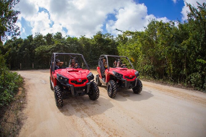 Jungle Buggy Tour from Playa del Carmen Including Cenote Swim - How long it takes, where you meet, and how pickup really works