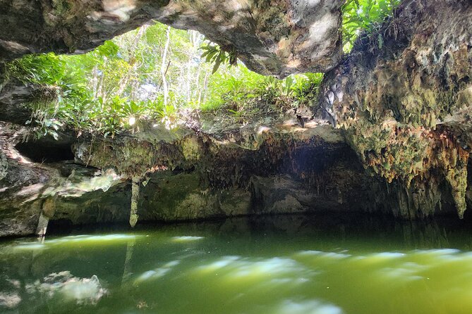 Jungle, Caverns and Tequila Mayan ATV Experience - Why This Cozumel ATV and Cenote Mix Feels Like a Real Island Day