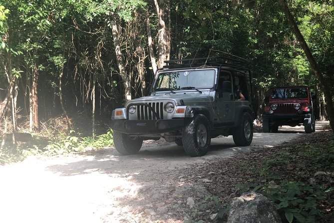 Jungle Jeep Adventure to Mayan Caves, Cenote and Snorkel - Dzul Ha Reef snorkeling in Parque Nacional Arrecifes de Cozumel