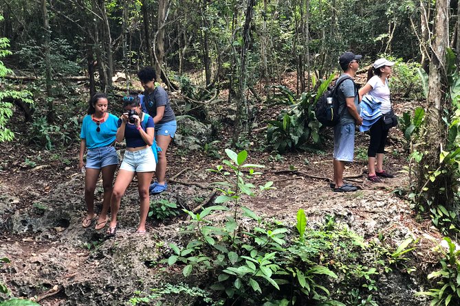 Jungle Jeep Adventure to Mayan Caves, Cenote and Snorkel - The bumpy Jeep logistics: sharing, driving rules, and what to pack