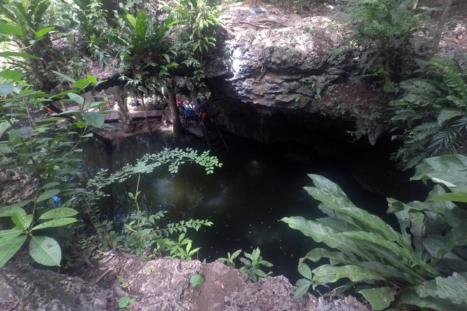 Jungle Jeep Adventure to Mayan Caves, Cenote and Snorkel - Guide quality matters, and names come up often