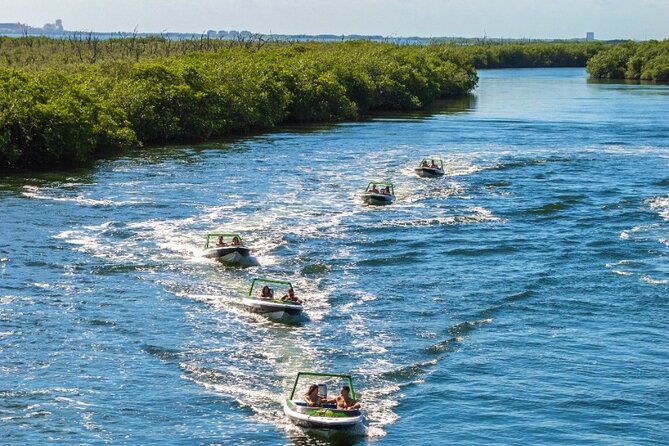 Jungle Tour adventure Cancun Speed Boat Through Mangrove - Price and Reality Check: $59 Ticket, Plus Marine Park Costs