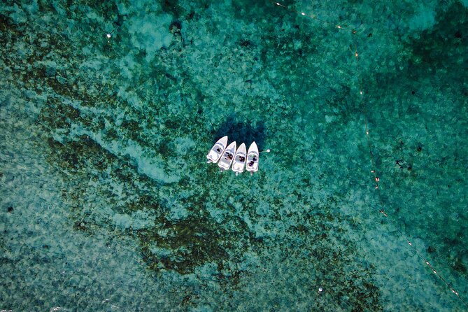 Jungle Tour & Snorkel at Punta Nizuc Reef , Underwater museum - Speed boat to reef, and why this combo works in Cancun