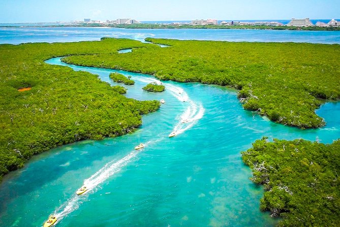 Jungle Tour with Snorkel in Cancun - Nichupte Lagoon speedboat and snorkel, in plain terms