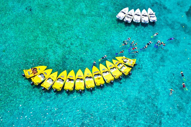 Jungle Tour with Snorkel in Cancun - Underwater museum snorkeling and reef time for beginners
