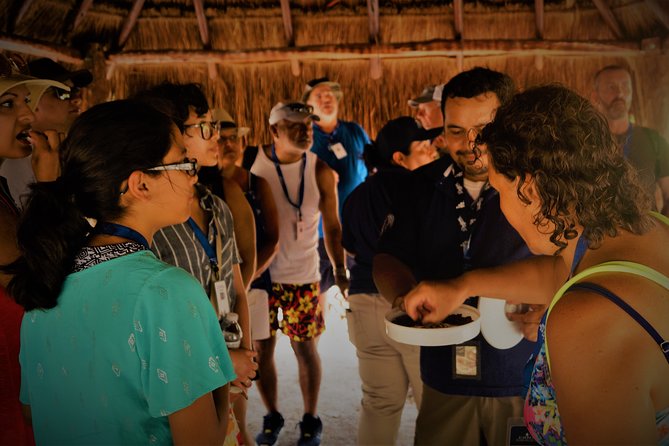 Kaan Luum & Cenotes Mayan Traditions - The Practical Stuff That Makes the Day Feel Smooth