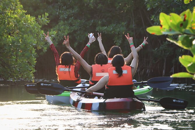 Kayak Adventure in Cancun - The Mangrove Forest Experience: Birds First, Then Maybe More
