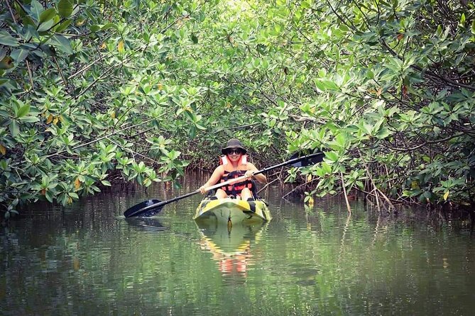 Kayak Adventure in Cancun - Paddling Through Laguna Nichupté: Calm Water, Big Feelings