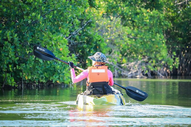 Kayak Adventure in Cancun - Price and Value: How $47.73 Makes Sense Here