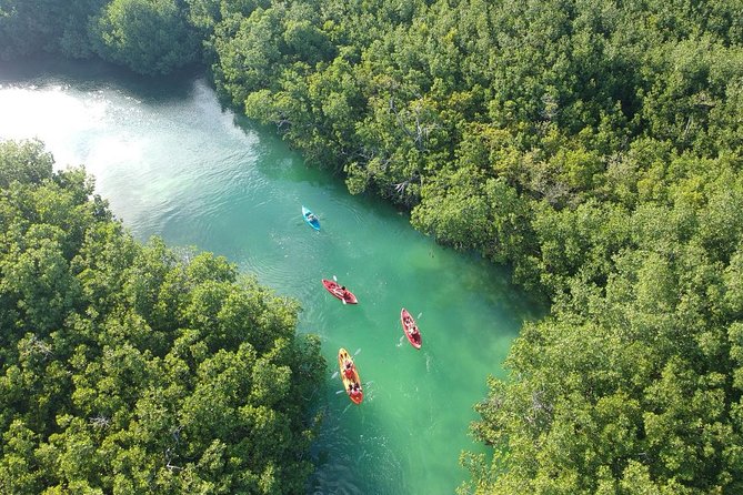 Kayak adventure through Laguna Nichupté in Cancun - Laguna Nichupté kayak calm right outside Cancun