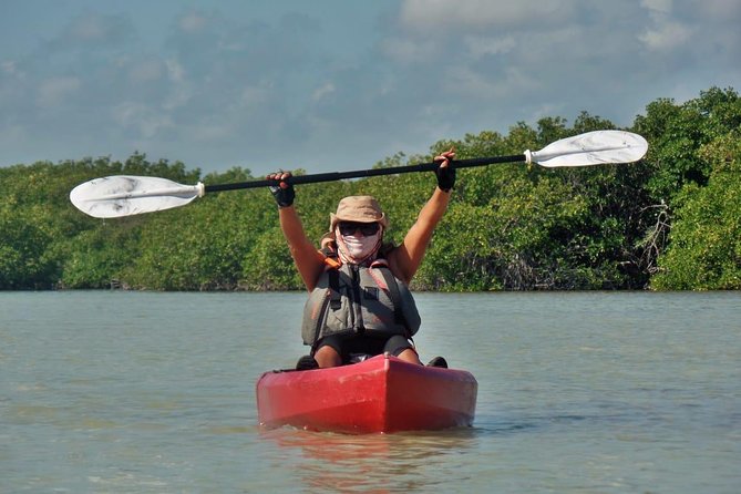 Kayak adventure through Laguna Nichupté in Cancun - How the 3-hour paddle flows (Bird Tree, low area, tunnels)