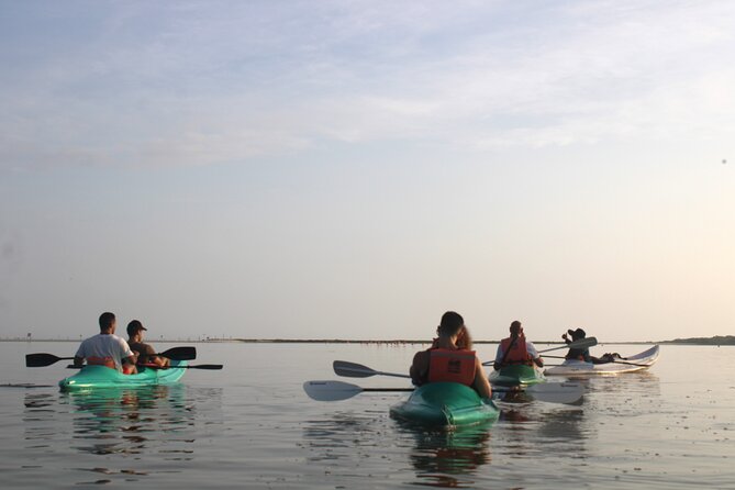 Kayak Mangroves Sunrise Experience - Kayaking the Mangrove Labyrinth, What the Route Feels Like