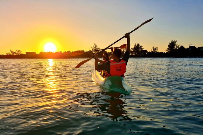 Kayak Mangroves Sunrise Experience - English Guidance, What You Can Expect and What to Check